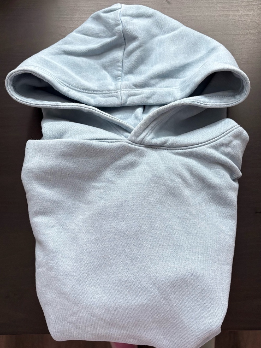 AE Crystal Everyday Luxe Hoodie size L🩵